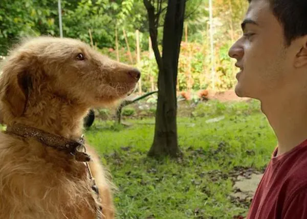 Netflix quiere captar la atención de nuestros canes con esta versión perruna de 