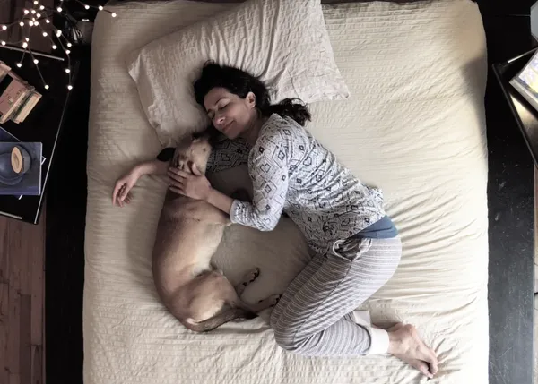 Un lindo y feliz corto sobre el síndrome del príncipe destronado, versión perro adoptado
