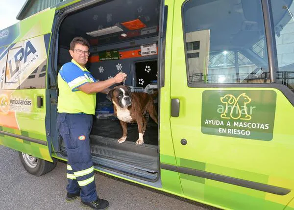 En peligro el Proyecto AMAR, la ambulancia que ayuda a perros y gatos en situación de desamparo