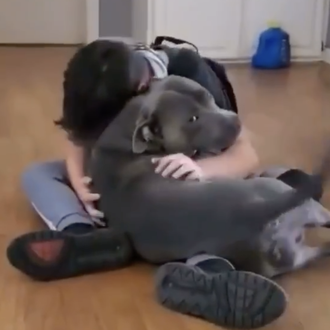 El reencuentro de un perro que se había perdido con …