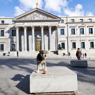 El Ala Oeste de la Casa Blanca, versión SrPerro