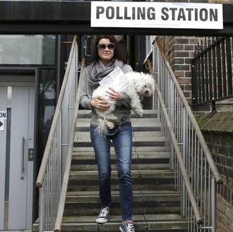 Los perros protagonizan las elecciones en el Reino Unido: #DogsAtPollingStations