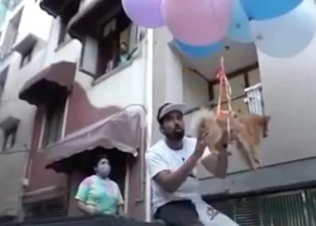 Un youtuber ata a su Pomerania a unos globos de helio... ¿qué tal si dejamos a los perros fuera de presuntos retos virales?