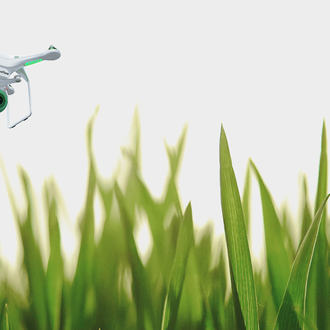 Drones, lo último en la batalla contra las cacas de …