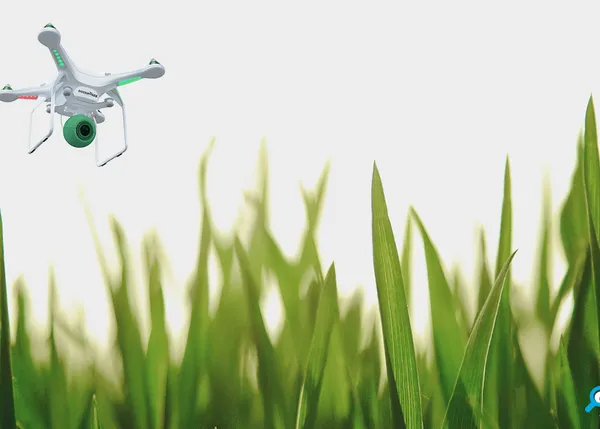 Drones, lo último en la batalla contra las cacas de perro