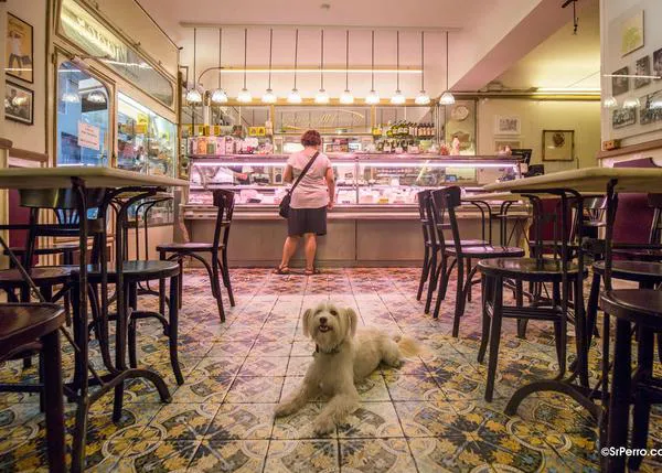 10 lugares en los que celebrar el Día Mundial del Chocolate en compañía de nuestros perros: en Barcelona, Madrid, Fuengirola...