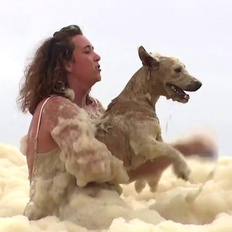 Dramático rescate de una perra perdida en una tormenta de …