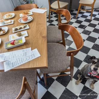 Planes con el can en Madrid: tapas gourmet, arte y …