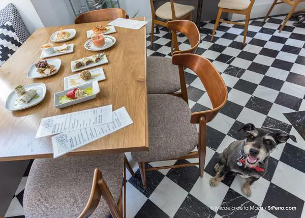 Planes con el can en Madrid: tapas gourmet, arte y simpatía en Ganz Café