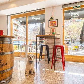 ¿De vermut con perro? ¡Yes we CAN! 24 bares perfectos …