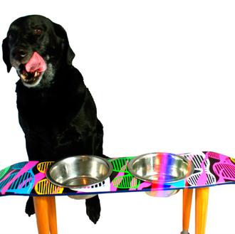 Curiosas ideas perrunas: skate-comederos