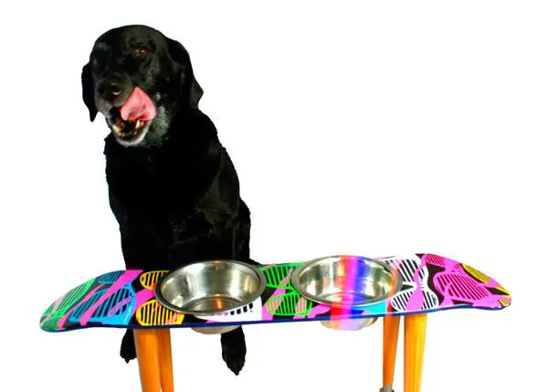 Curiosas ideas perrunas: skate-comederos