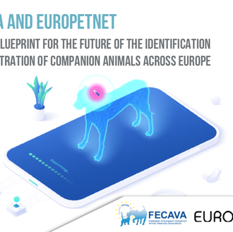 Pasaporte electrónico para perros y gatos + chip obligatorio en toda …