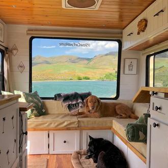 La vida en movimiento de unos viajeros perrunos y su …