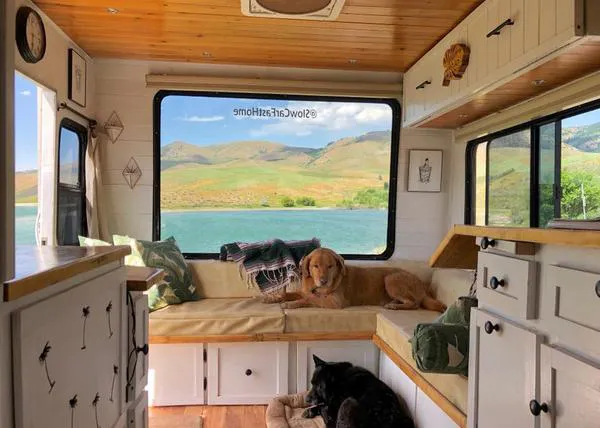 La vida en movimiento de unos viajeros perrunos y su ventana al mundo