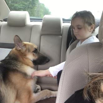 Miles se movilizan para ayudar al perro que protegió a …