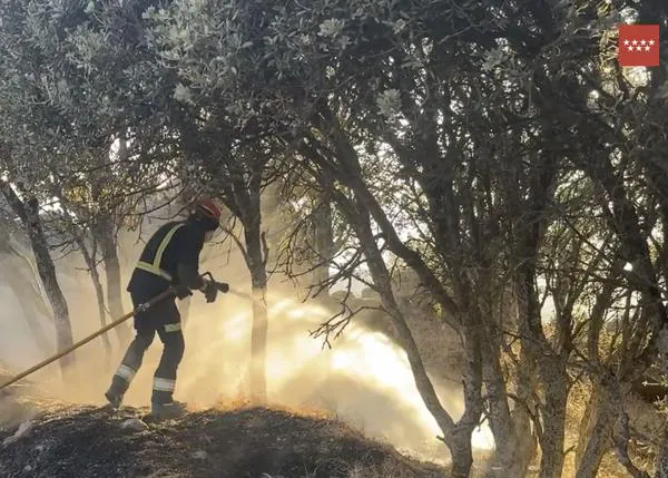 El Colegio Oficial de Veterinarios de Madrid coordina la ayuda gratuita para animales de familia afectados por los incendios