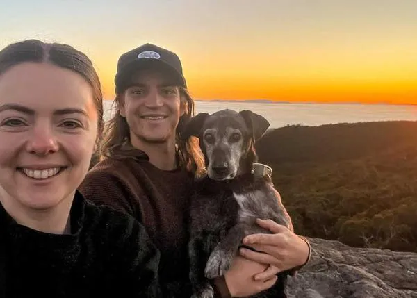 La bella despedida de un perro de 19 años, enfermo terminal, el día de la boda de sus humanos