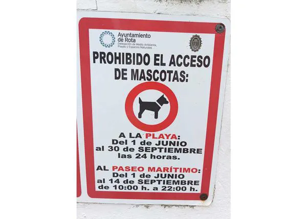 El Ayuntamiento de Rota se hace viral cada verano por prohibir a las personas con perro estar en el paseo marítimo