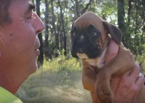 La agridulce historia de amor y compañía entre un hombre y el perro que rescató