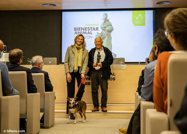Celebrando la fuerza terapéutica del vínculo entre personas y animales: V edición de los Premios Bienestar Animal