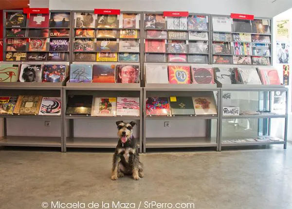 ¿Cómo celebrar el día de la música? Con estos 10 discos para disfrutar con tu SrPerro