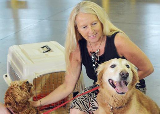 seguridad" de los perros y ante el caos en los aeropuertos, Canada no admite perros en bodega