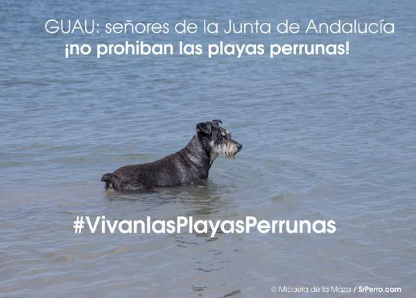 Concentración y batalla legal por evitar el cierre de las playas perrunas en Málaga
