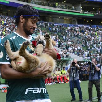 Perros en busca de hogar en brazos de futbolistas del …