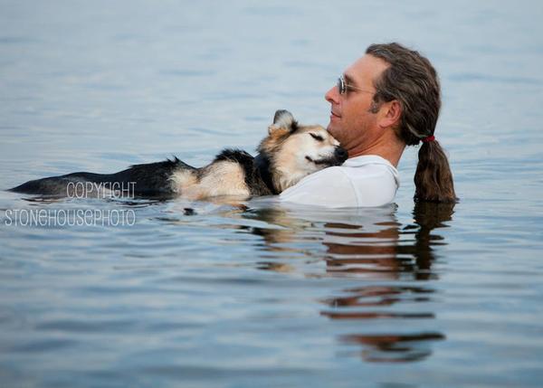 Schoep, el perro cuya foto en el lago conmovió a miles de personas, ¡cumple 20 años!