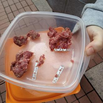 La Policía de Logroño pide máxima prudencia tras encontrar carne …