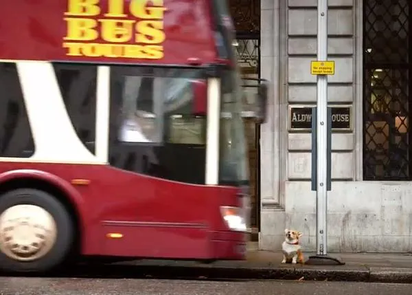 Londres y los canes: el mejor vídeo promocional para humanos perrunos