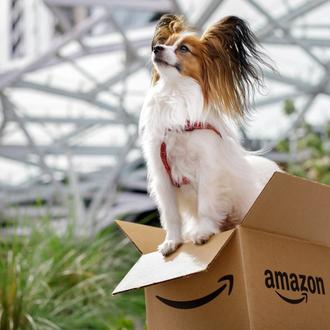 Las empresas más dog friendly de EEUU: Amazon, Uber, Airbnb …
