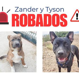 Recogida de firmas para pedir al Ayuntamiento de Badalona más …