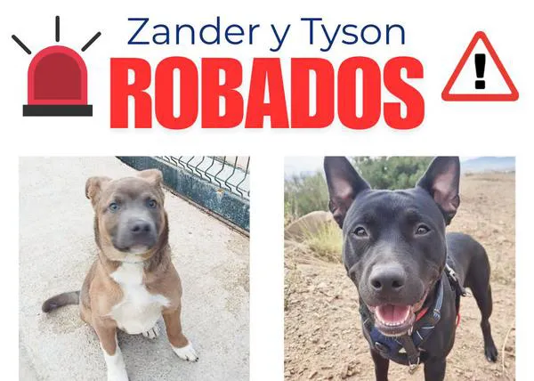 Recogida de firmas para pedir al Ayuntamiento de Badalona más seguridad en el Centre d'Acollida d'Animals de Companyia (CAACBN)