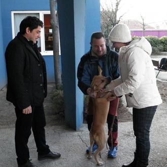 Teresa Romero ha adoptado a una perra: Alma, una joven …