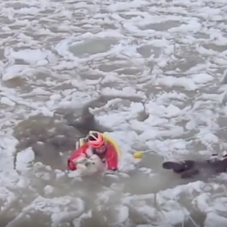 Dos perros con mucha suerte: espectaculares rescates de canes en …