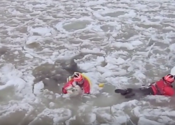 Dos perros con mucha suerte: espectaculares rescates de canes en lagos helados