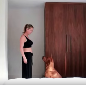 ¿Cómo explicarle a un perro que va a tener un …