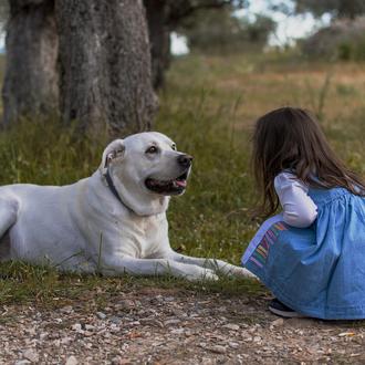 Los niños salvarían antes a un perro (y a un …