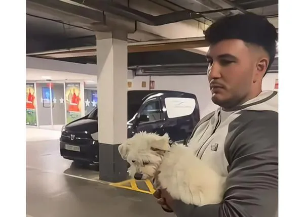 Omar Montes rompe la ventanilla de un coche para sacar a una perra que llevaba más de una hora