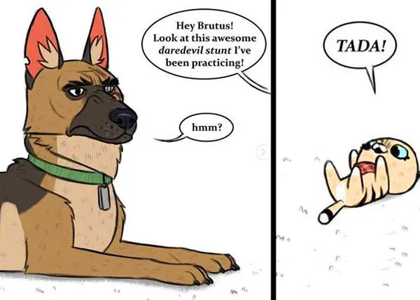 Pixie, Brutus, Lola y Mr.Wrinkles: las aventuras -de cómic- de una genial familia de lo más animal