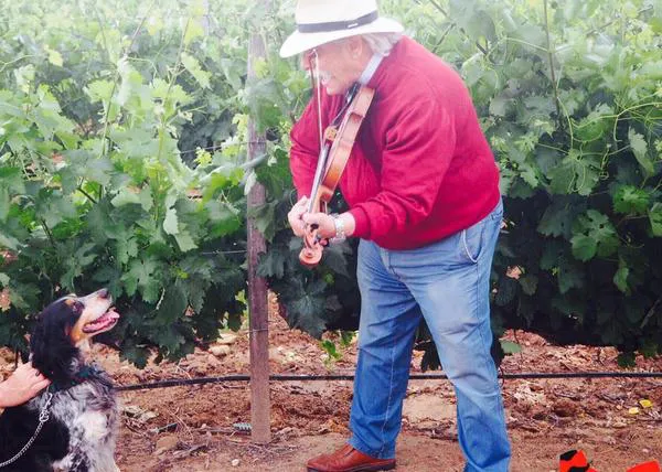 Profesores de la Sinfónica de Castilla y León ofrecen un concierto ¡para perros!