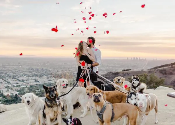 La declaración sorpresa más espectacularmente guau: 16 perros ayudan a un hombre a pedirle matrimonio a su novia