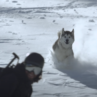 La felicidad perruna en estado puro: Loki en la naturaleza