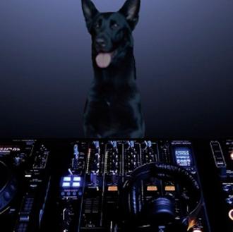 RadioCan, la primera radio creada para los perros