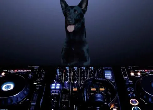 RadioCan, la primera radio creada para los perros