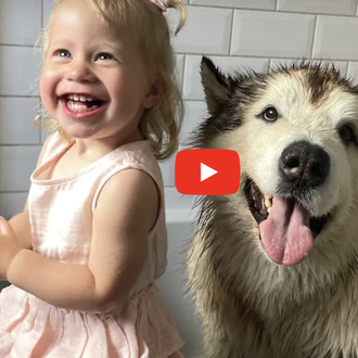 Los problemillas de una familia para lograr convencer a su …