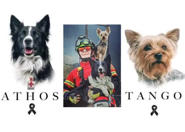 10 años y 6 meses por matar a dos perros, a Athos y Tango, emocionante e histórica condena por maltrato animal en México