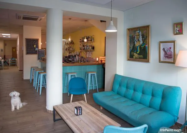 Plan perruno y solidario en Sevilla: Arcade Bar colabora con El Amparo del Sur